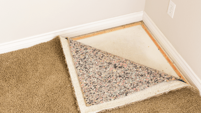 carpet-water-damage